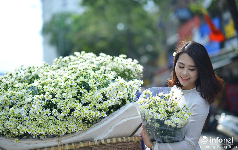 Thiếu nữ Hà thành trong mùa hoa cúc họa mi - ảnh 9