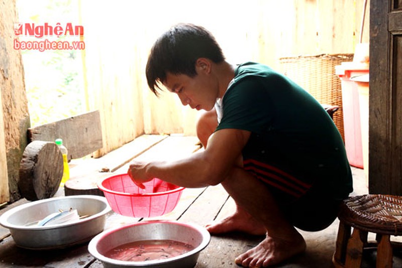 Độc lạ: Quăng chài bắt bướm ở miền Tây Nghệ An - ảnh 11