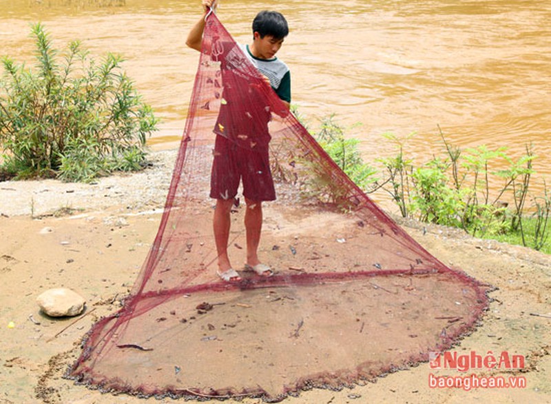Độc lạ: Quăng chài bắt bướm ở miền Tây Nghệ An - ảnh 5