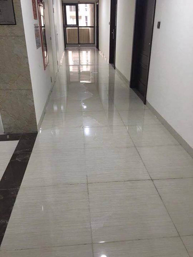 Cám cảnh hầm xe bốc mùi hôi thối, nước ngập hành lang chung cư cao cấp - ảnh 2