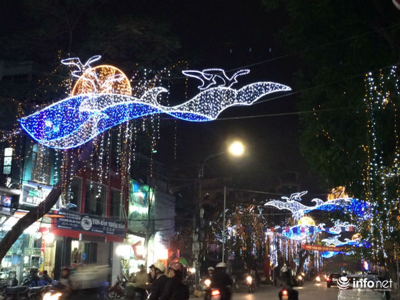 Tết này, Hải Phòng lung linh với cung đường sắc màu - ảnh 3