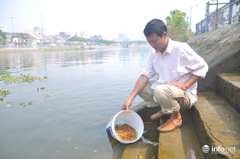 Hăm hở đi vợt lại cá chép cúng ông Táo - ảnh 3