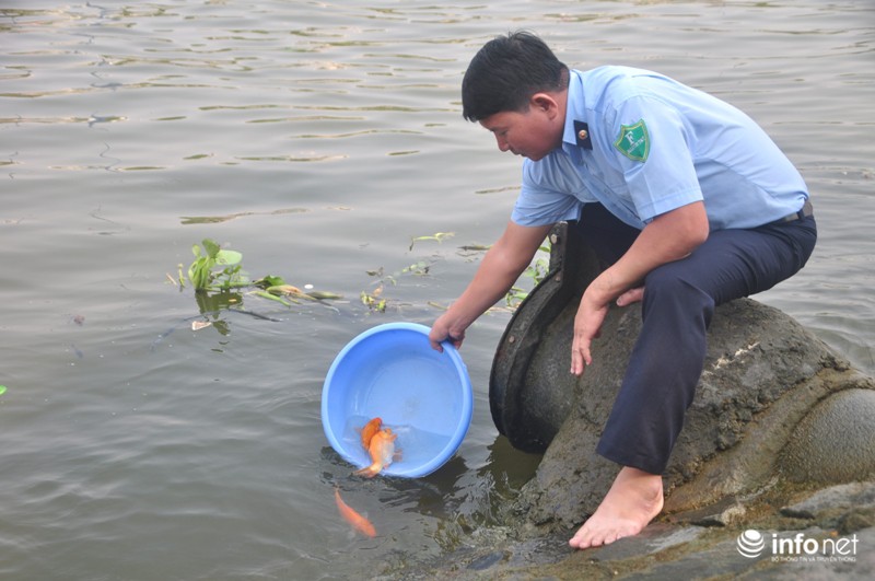 Hăm hở đi vợt lại cá chép cúng ông Táo - ảnh 2