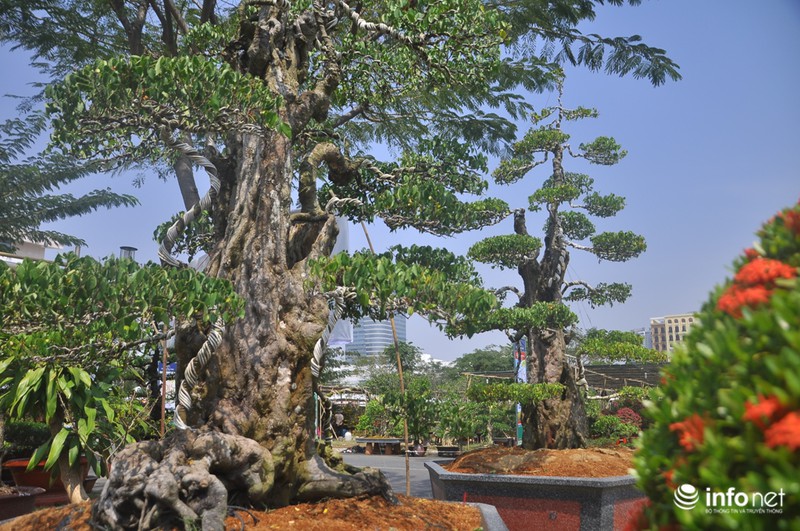Choáng ngợp ngắm 2