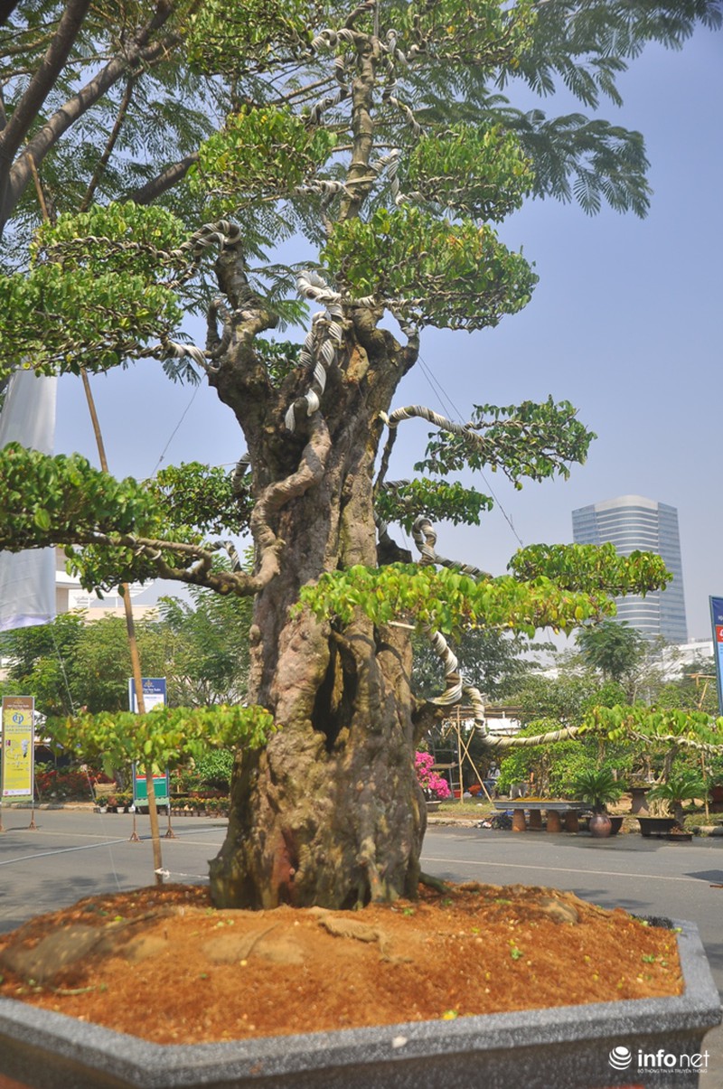 Choáng ngợp ngắm 2