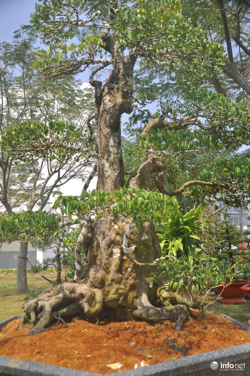 Choáng ngợp ngắm 2