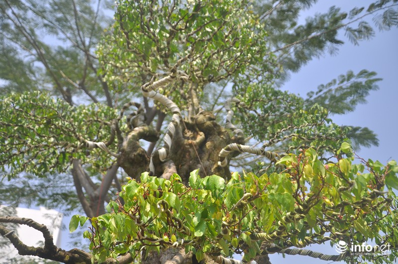 Choáng ngợp ngắm 2