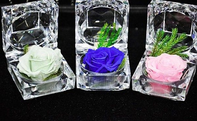 Quà tặng 8/3 độc lạ khiến chị em “tròn xoe mắt” thích thú - ảnh 5