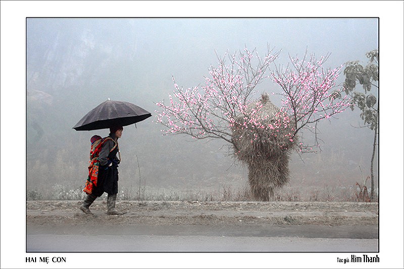 Quê hương tuyệt đẹp qua ống kính của các nữ nhiếp ảnh TP. Hồ Chí Minh - ảnh 4