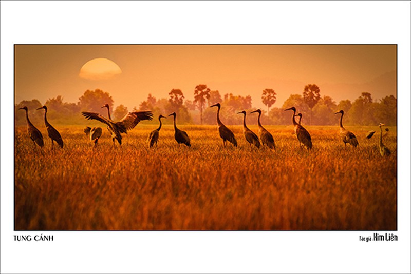 Quê hương tuyệt đẹp qua ống kính của các nữ nhiếp ảnh TP. Hồ Chí Minh - ảnh 1