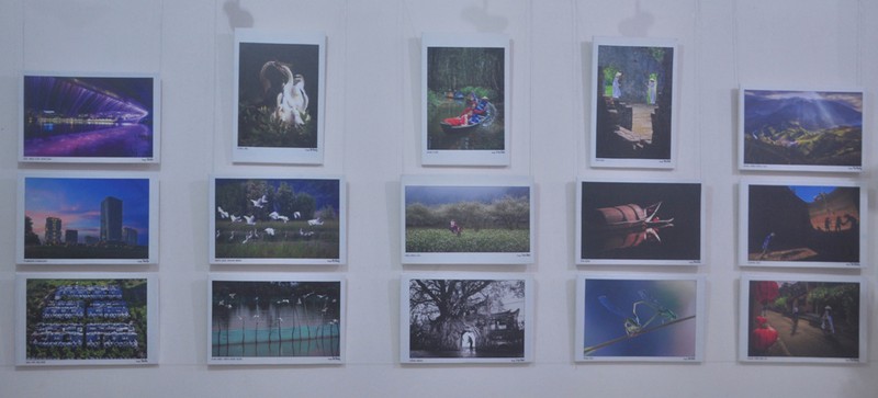 Quê hương tuyệt đẹp qua ống kính của các nữ nhiếp ảnh TP. Hồ Chí Minh - ảnh 2