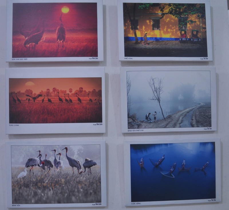 Quê hương tuyệt đẹp qua ống kính của các nữ nhiếp ảnh TP. Hồ Chí Minh - ảnh 3