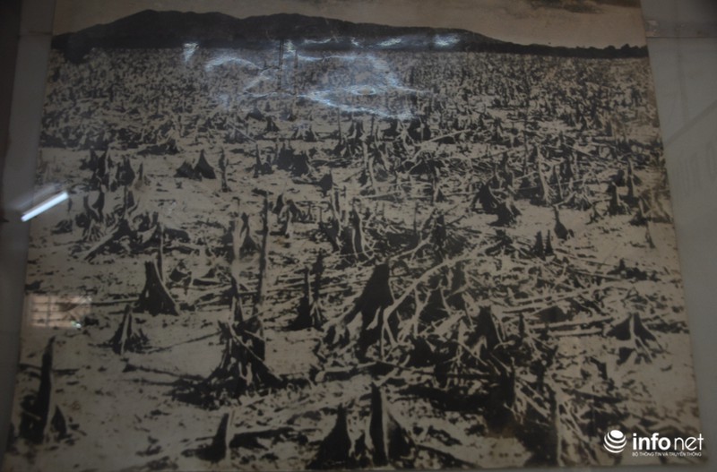 Khám phá căn cứ địa huyền thoại Rừng Sác - ảnh 1