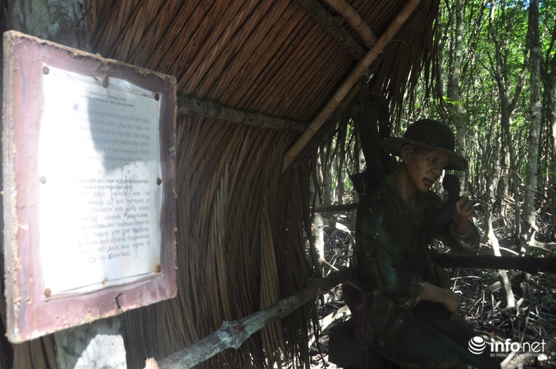 Khám phá căn cứ địa huyền thoại Rừng Sác - ảnh 11