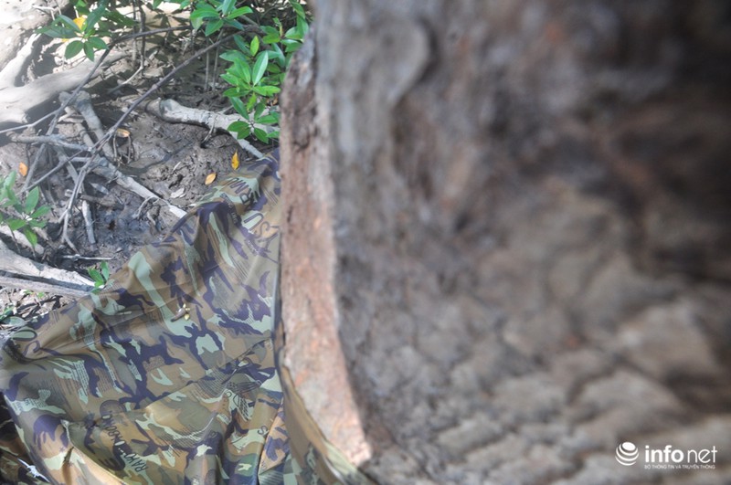 Khám phá căn cứ địa huyền thoại Rừng Sác - ảnh 8