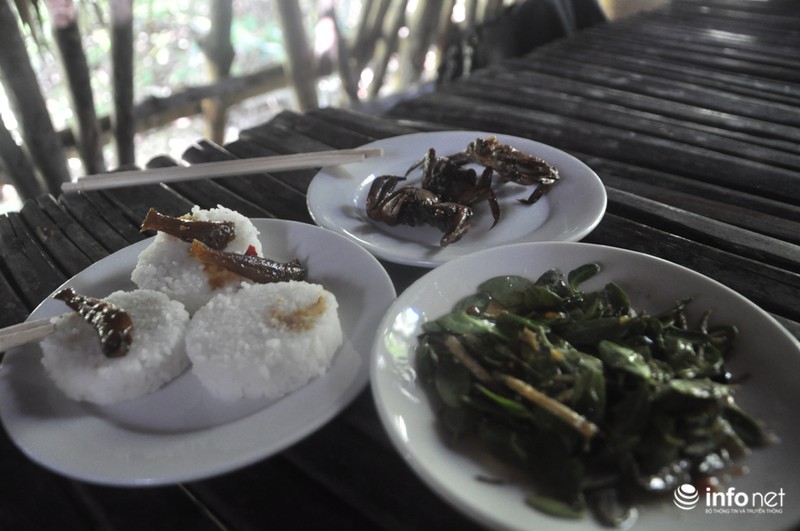 Khám phá căn cứ địa huyền thoại Rừng Sác - ảnh 19