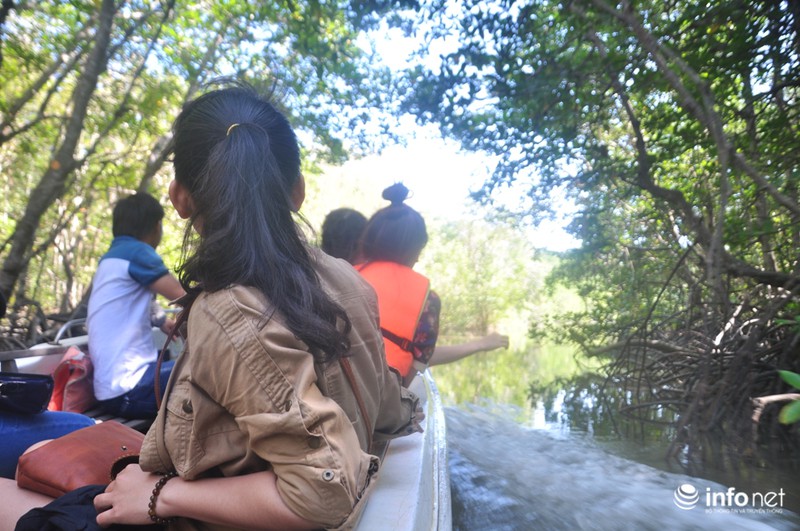 Khám phá căn cứ địa huyền thoại Rừng Sác - ảnh 3