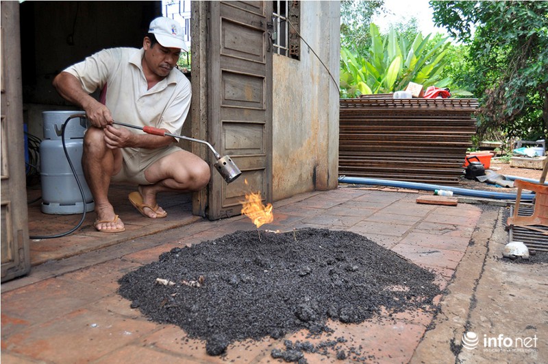 Bọ đậu đen vào nhà làm tổ, người dân ra chuồng heo ngủ để lánh nạn - ảnh 1