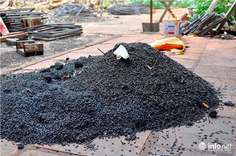 Bọ đậu đen vào nhà làm tổ, người dân ra chuồng heo ngủ để lánh nạn - ảnh 4