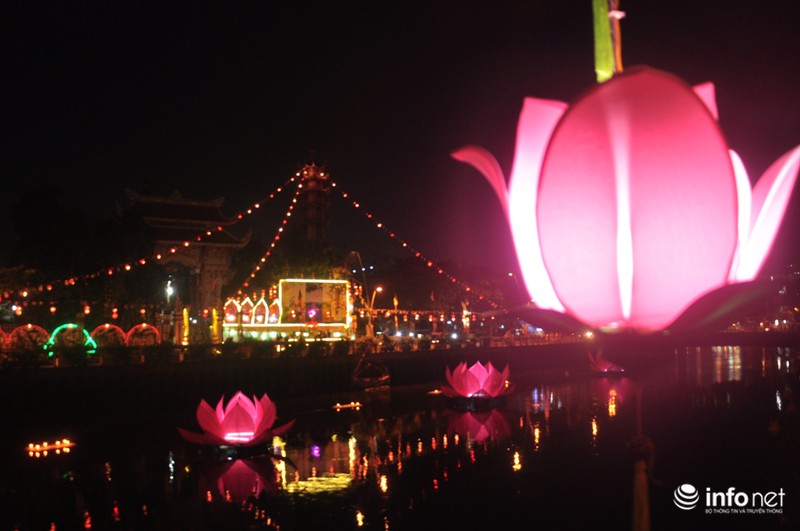 TP. HCM: Hoa đăng tuyệt đẹp trước thềm Lễ Phật Đản 2015 - ảnh 8