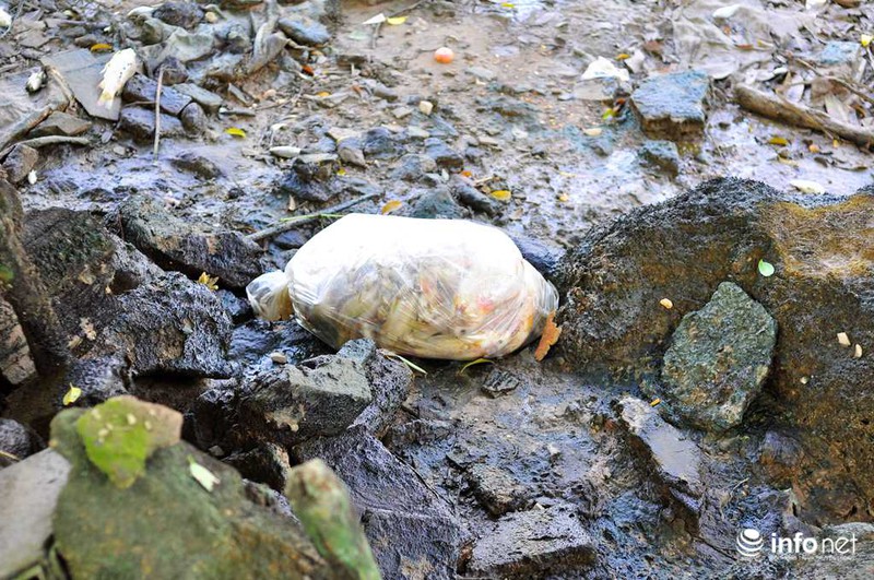 Đồng Nai: Cá chết kín sông, dân xót xa bán 2.000đồng/kg - ảnh 10