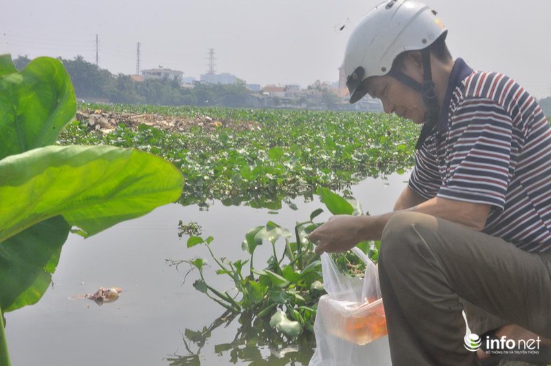 Người dân thuê thuyền thả cả thùng cá chép xuống giữa sông Sài Gòn - ảnh 7