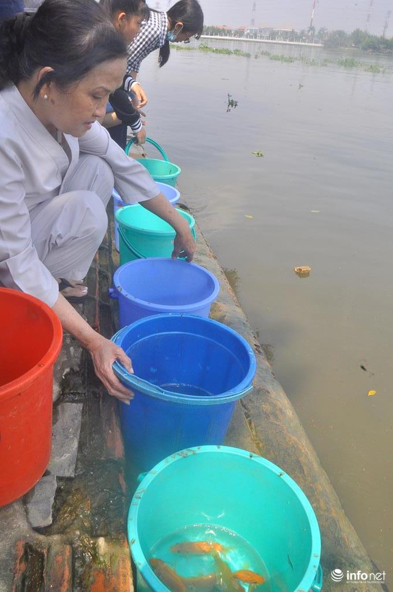 Người dân thuê thuyền thả cả thùng cá chép xuống giữa sông Sài Gòn - ảnh 2
