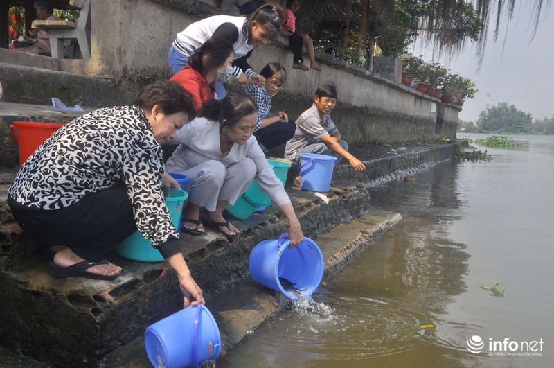 Người dân thuê thuyền thả cả thùng cá chép xuống giữa sông Sài Gòn - ảnh 8
