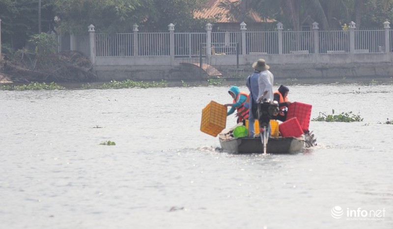 Người dân thuê thuyền thả cả thùng cá chép xuống giữa sông Sài Gòn - ảnh 5
