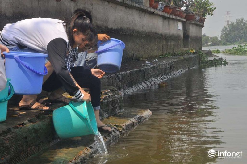 Người dân thuê thuyền thả cả thùng cá chép xuống giữa sông Sài Gòn - ảnh 10
