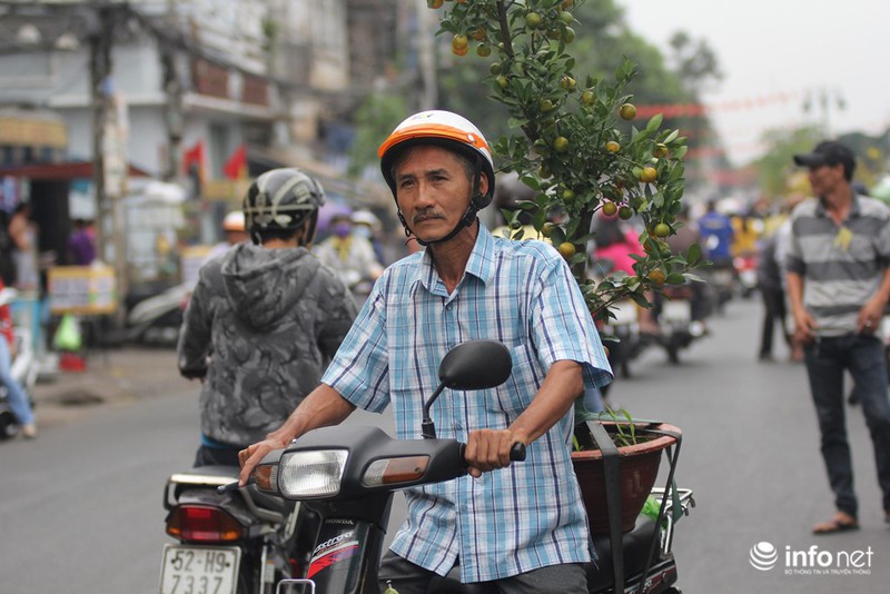 Người Sài Gòn sắm tết tại chợ hoa độc nhất vô nhị