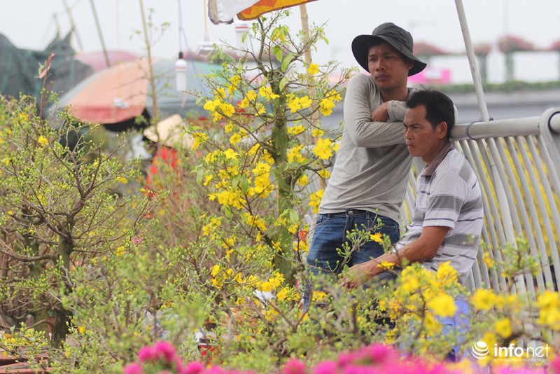 Người Sài Gòn sắm tết tại chợ hoa độc nhất vô nhị