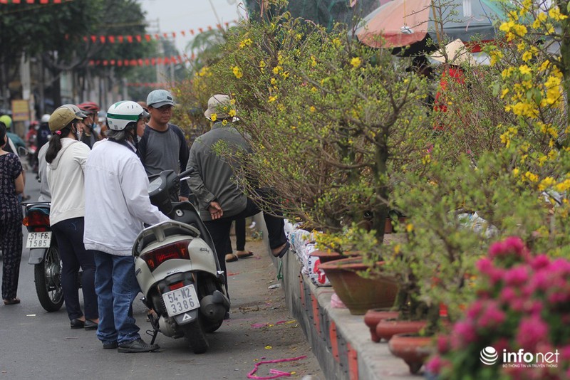 Người Sài Gòn sắm tết tại chợ hoa độc nhất vô nhị