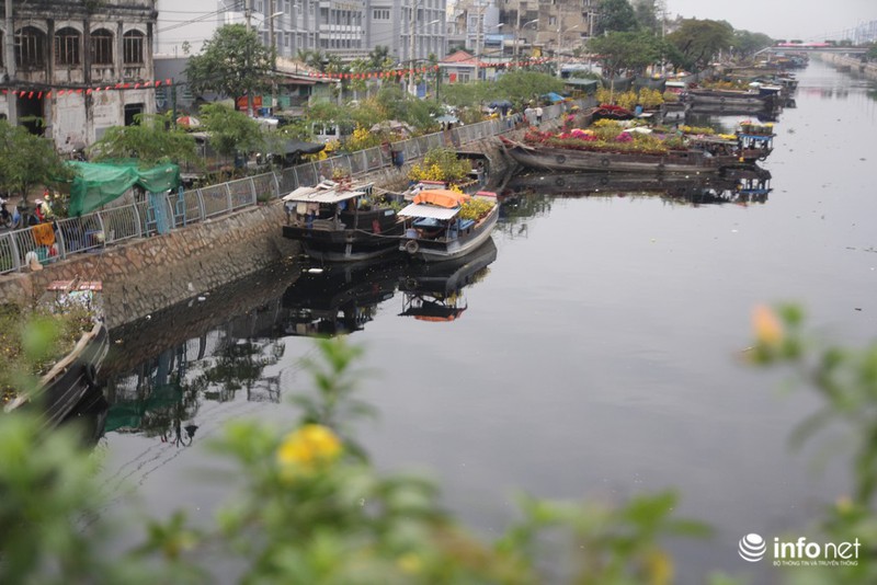 Người Sài Gòn sắm tết tại chợ hoa độc nhất vô nhị