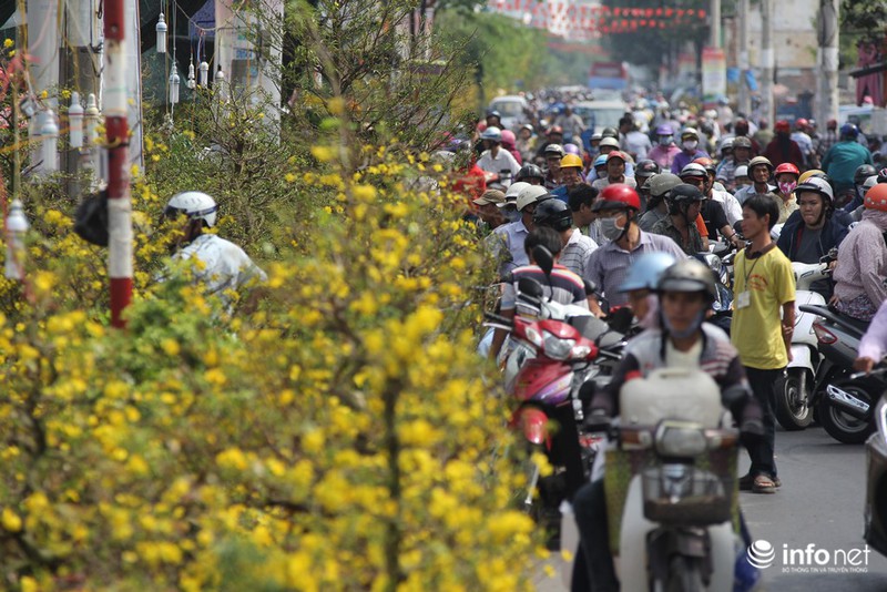 Người Sài Gòn sắm tết tại chợ hoa độc nhất vô nhị