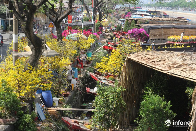 Người Sài Gòn sắm tết tại chợ hoa độc nhất vô nhị