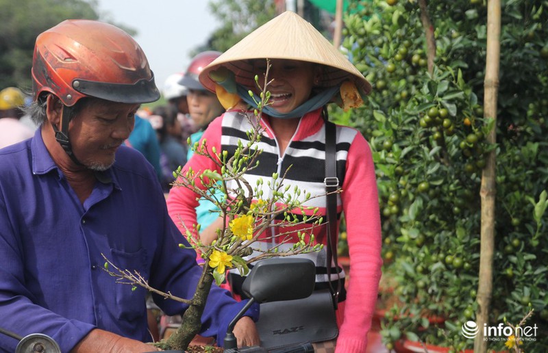 Người Sài Gòn sắm tết tại chợ hoa độc nhất vô nhị
