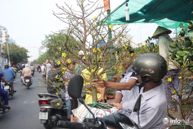 Người Sài Gòn sắm tết tại chợ hoa độc nhất vô nhị