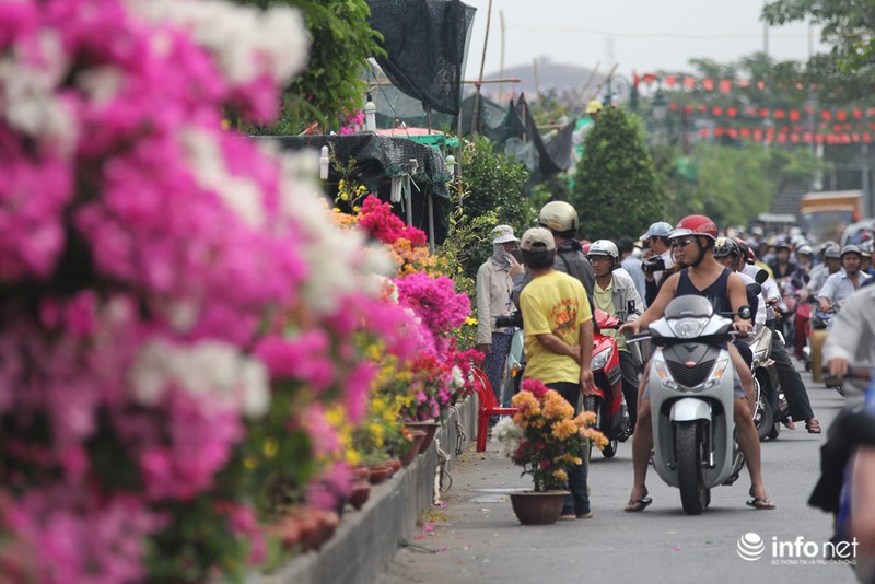 Người Sài Gòn sắm tết tại chợ hoa độc nhất vô nhị