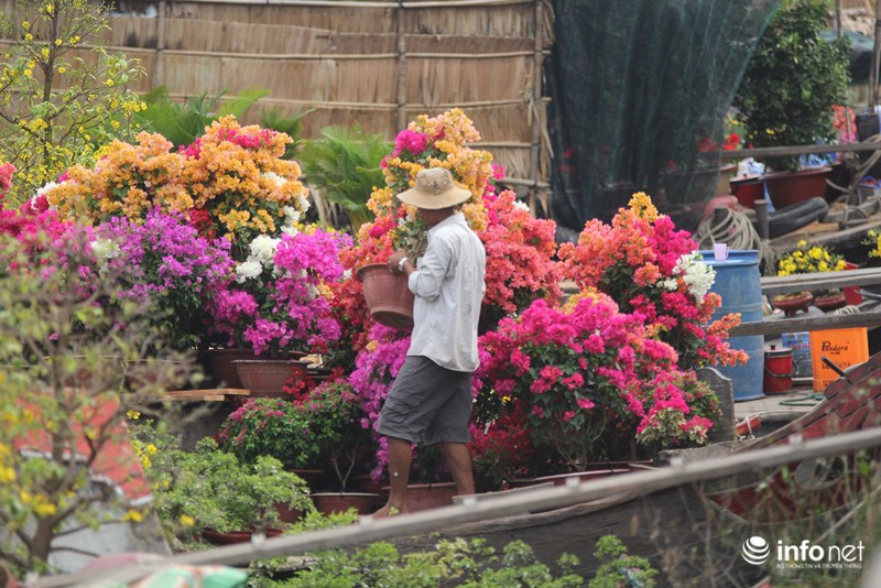 Người Sài Gòn sắm tết tại chợ hoa độc nhất vô nhị