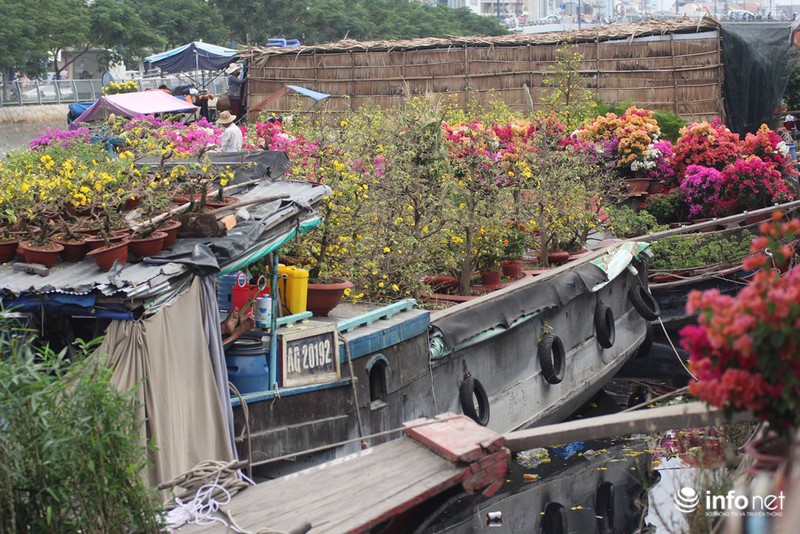 Người Sài Gòn sắm tết tại chợ hoa độc nhất vô nhị