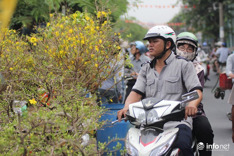 Người Sài Gòn sắm tết tại chợ hoa độc nhất vô nhị