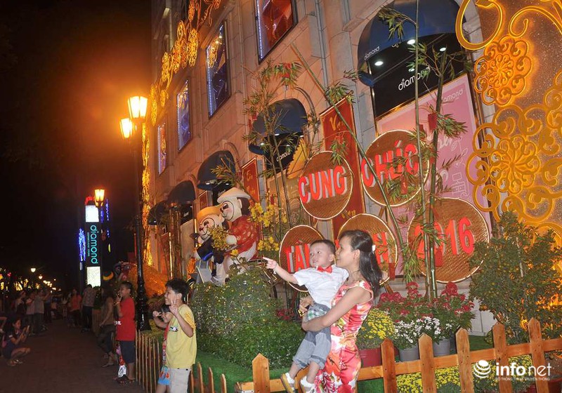 Đường phố Sài Gòn rực rỡ đón Tết Nguyên đán 2016 - ảnh 17