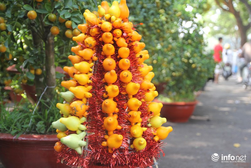 Ngắm những cây kiểng độc, lạ hút khách tại hội hoa Tết Sài Gòn - ảnh 8