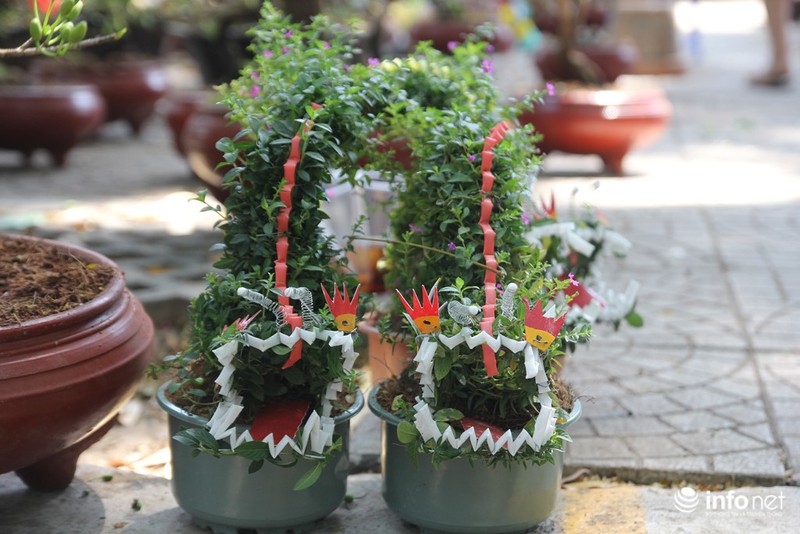 Ngắm những cây kiểng độc, lạ hút khách tại hội hoa Tết Sài Gòn - ảnh 13