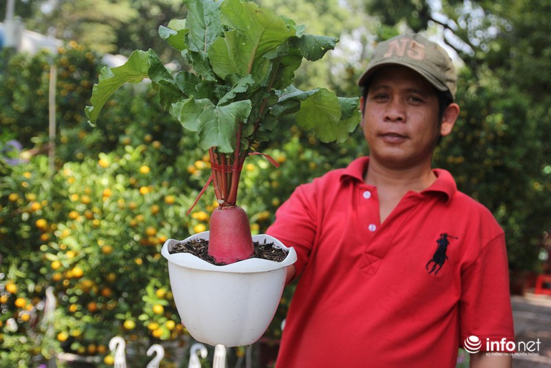 Ngắm những cây kiểng độc, lạ hút khách tại hội hoa Tết Sài Gòn - ảnh 7