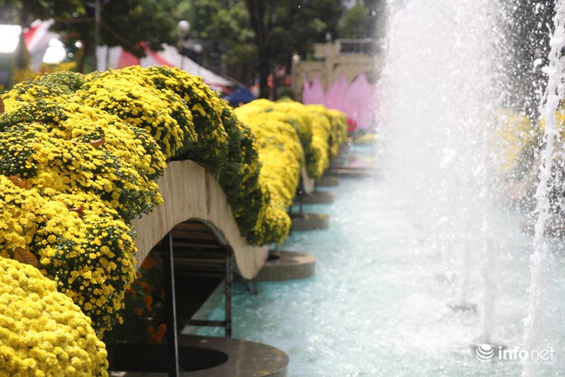 Ngắm những cây kiểng độc, lạ hút khách tại hội hoa Tết Sài Gòn - ảnh 16