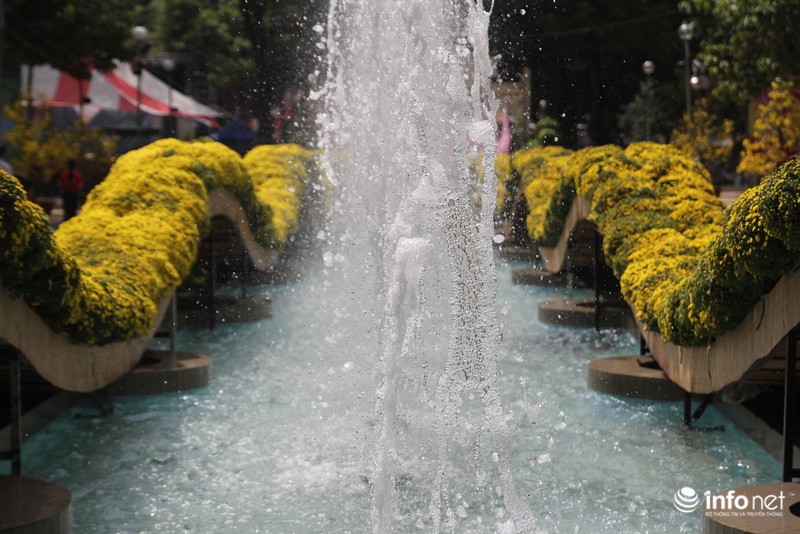 Ngắm những cây kiểng độc, lạ hút khách tại hội hoa Tết Sài Gòn - ảnh 17