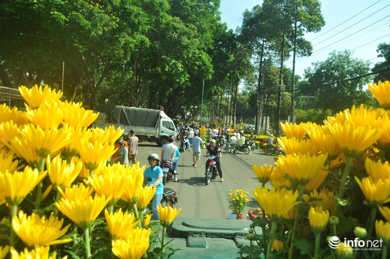 TP.HCM: Xả hàng ngày cuối cùng năm cũ, cây cảnh tết rẻ giật mình - ảnh 4