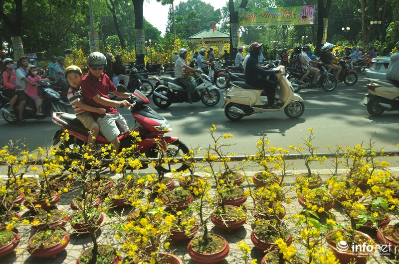 TP.HCM: Xả hàng ngày cuối cùng năm cũ, cây cảnh tết rẻ giật mình - ảnh 1